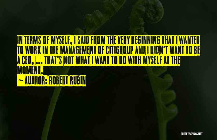 Citigroup Quotes By Robert Rubin