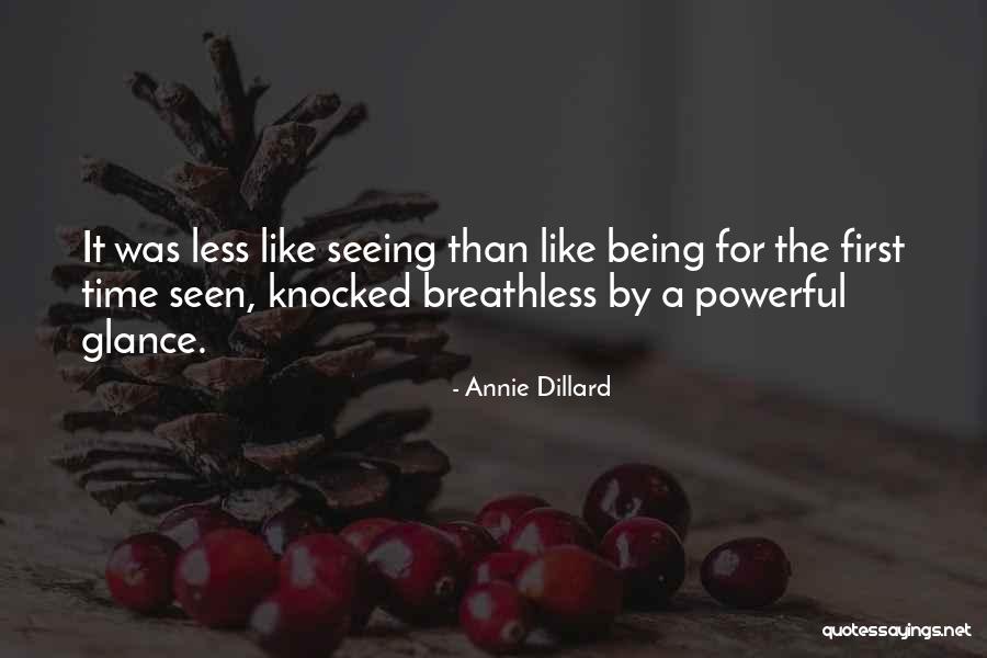Cititarjetas Quotes By Annie Dillard Cititarjetas Quotes By Annie Dillard