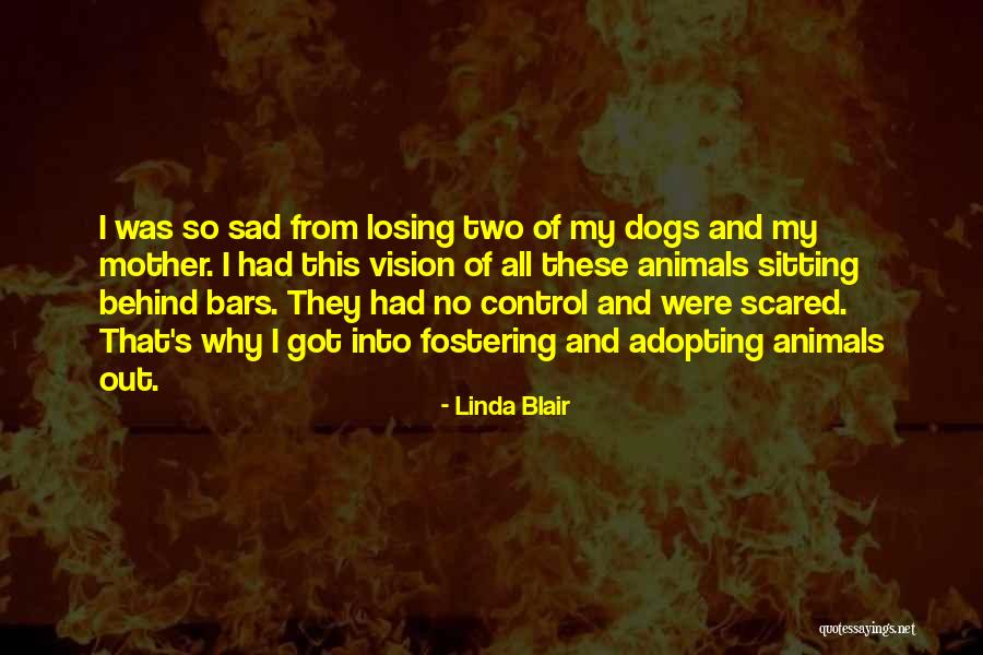 Cititori De Oase Quotes By Linda Blair Cititori De Oase Quotes By Linda Blair