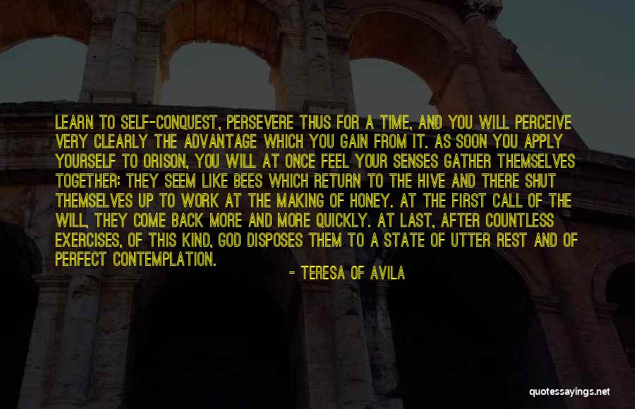 Citius Altius Fortius Quotes By Teresa Of Avila Citius Altius Fortius Quotes By Teresa Of Avila
