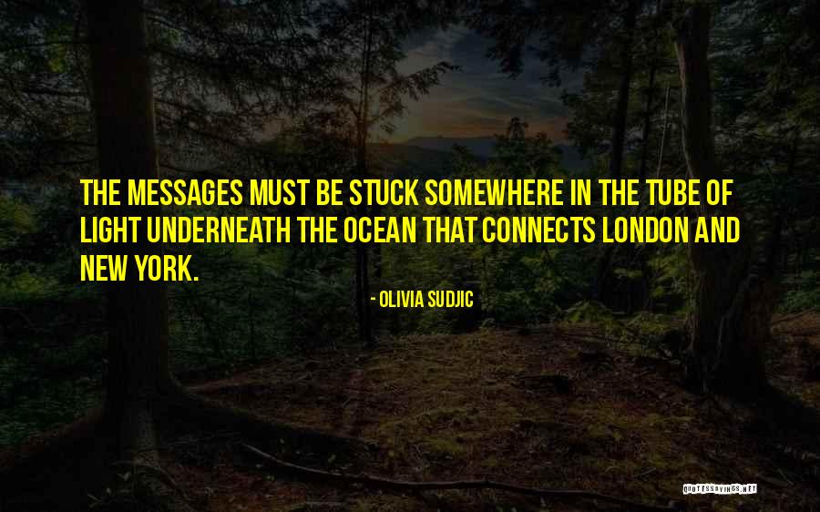 Citoneuse Quotes By Olivia Sudjic Citoneuse Quotes By Olivia Sudjic