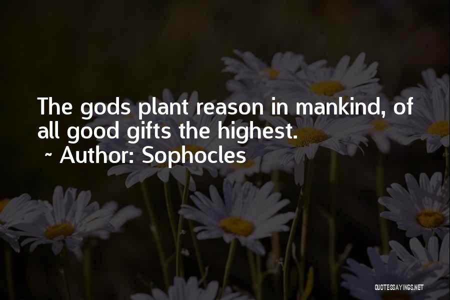 Citrines Meditation Quotes By Sophocles