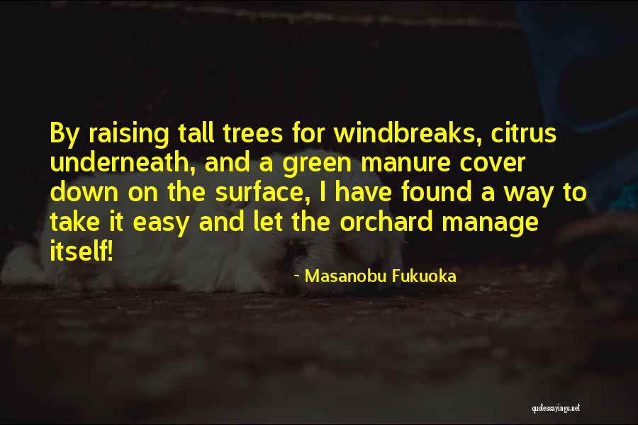 Citrus Tree Quotes By Masanobu Fukuoka Citrus Tree Quotes By Masanobu Fukuoka