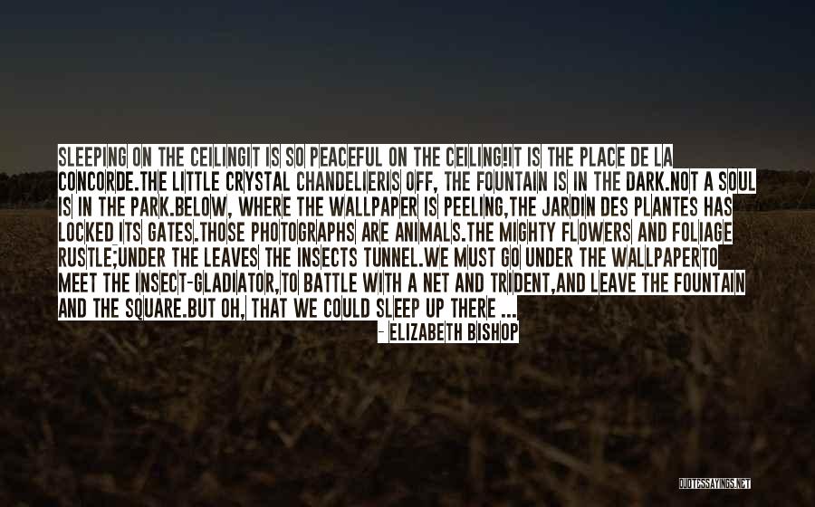 Citt Quotes By Elizabeth Bishop Citt Quotes By Elizabeth Bishop