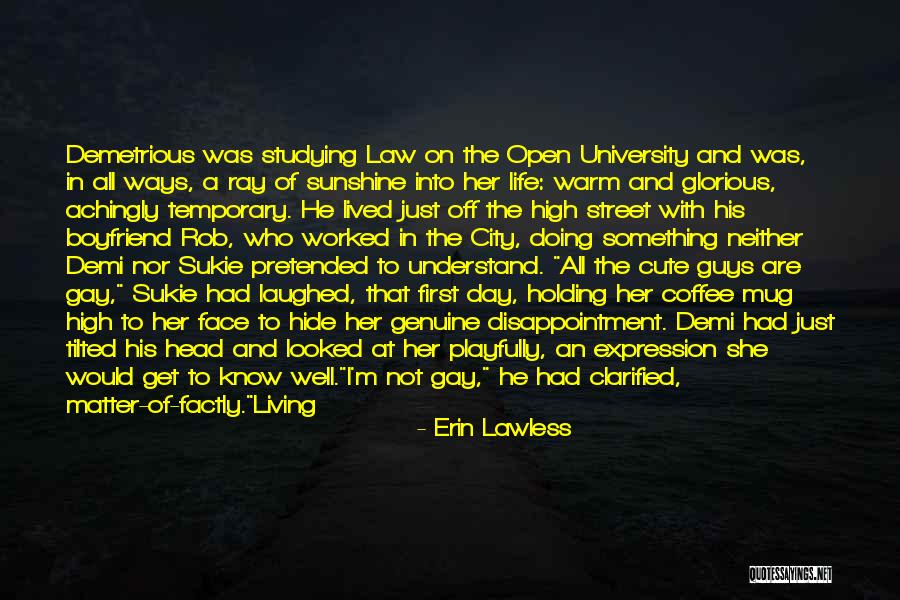 City And Love Quotes By Erin Lawless