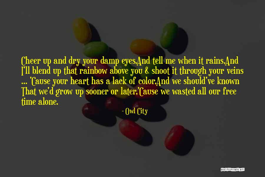 City And Love Quotes By Owl City