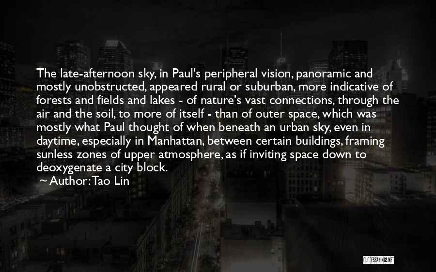 City Buildings Quotes By Tao Lin