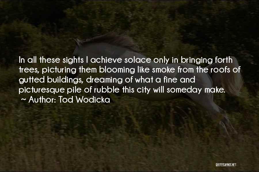 City Buildings Quotes By Tod Wodicka