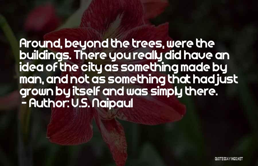 City Buildings Quotes By V.S. Naipaul