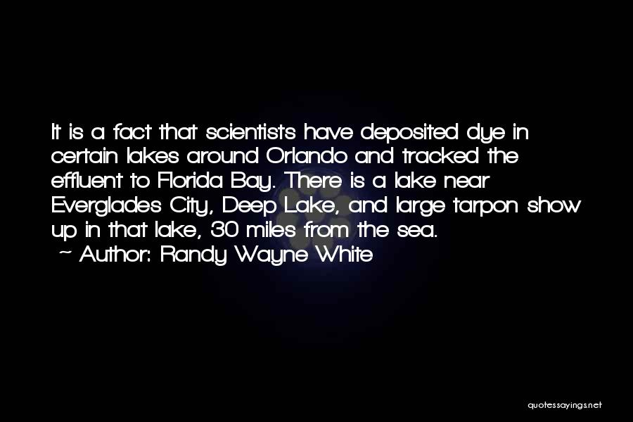 City By The Bay Quotes By Randy Wayne White