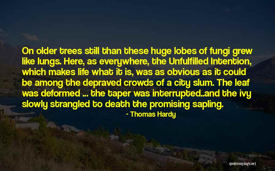 City Crowds Quotes By Thomas Hardy City Crowds Quotes By Thomas Hardy