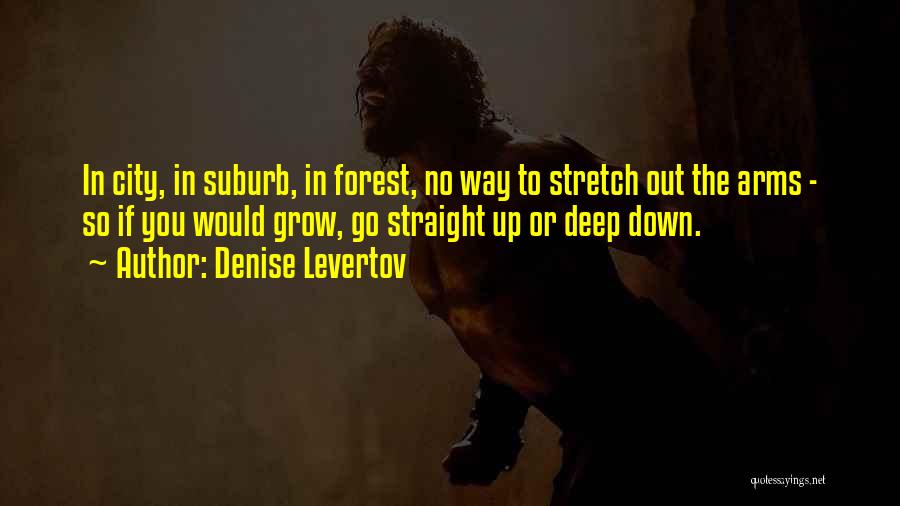 City Growth Quotes By Denise Levertov