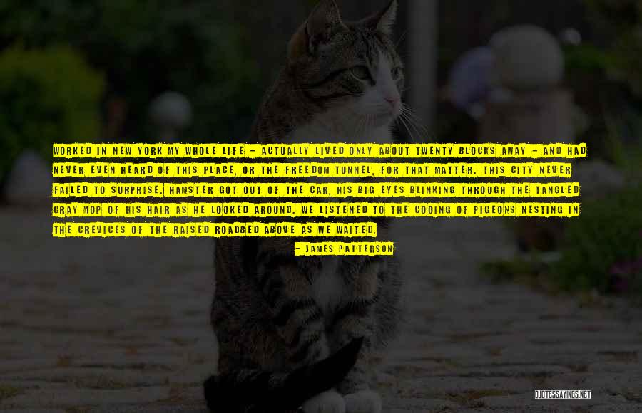 City Life Quotes By James Patterson City Life Quotes By James Patterson