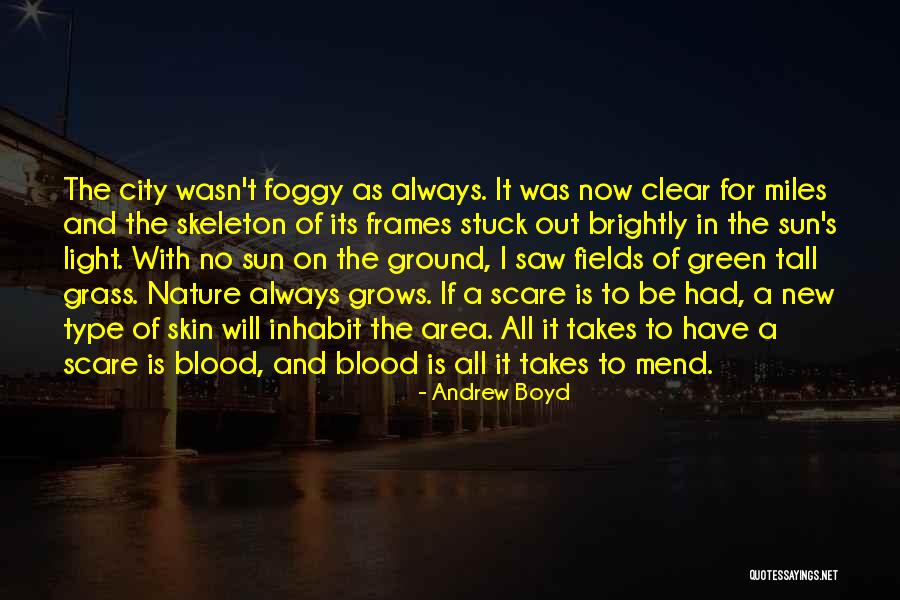 City Light Quotes By Andrew Boyd City Light Quotes By Andrew Boyd