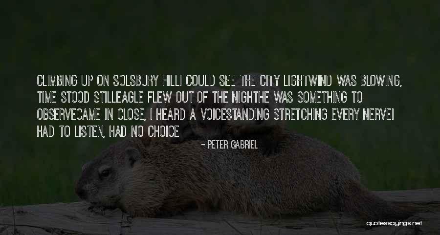 City Light Quotes By Peter Gabriel City Light Quotes By Peter Gabriel
