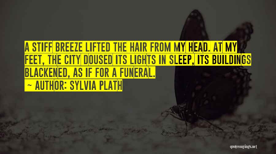 City Lights Quotes By Sylvia Plath