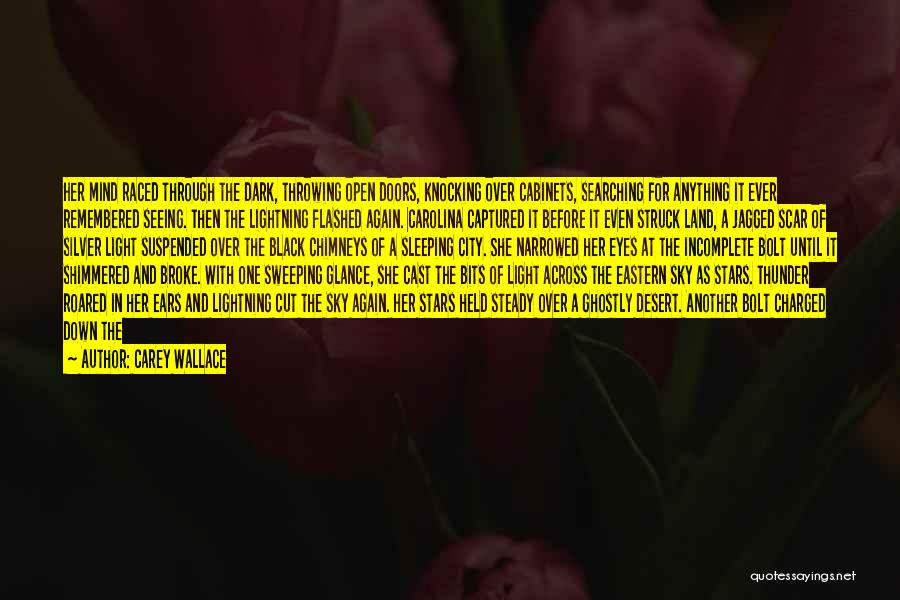 City Night Light Quotes By Carey Wallace City Night Light Quotes By Carey Wallace