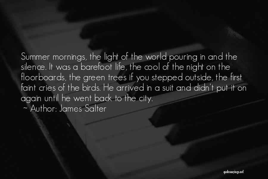 City Night Light Quotes By James Salter