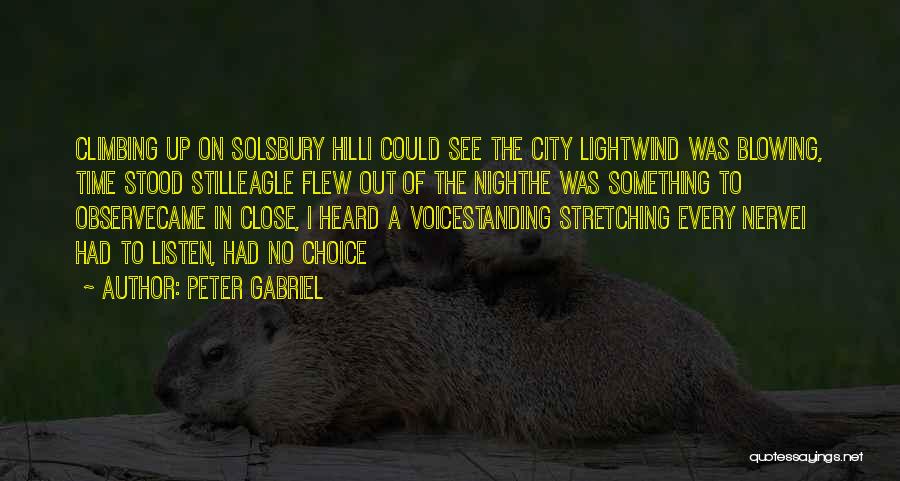 City Night Light Quotes By Peter Gabriel