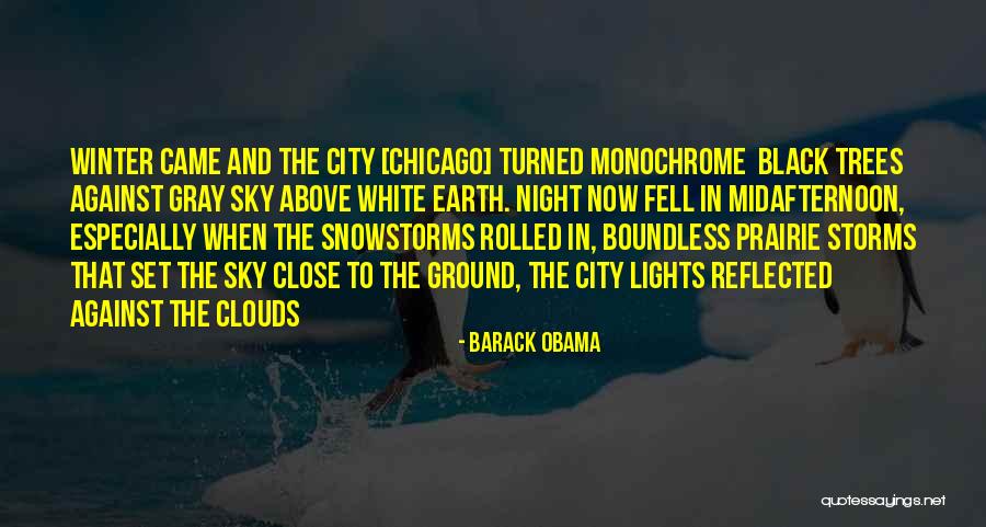 City Night Lights Quotes By Barack Obama