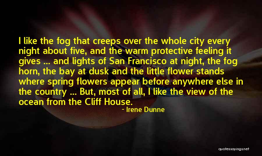 City Night Lights Quotes By Irene Dunne