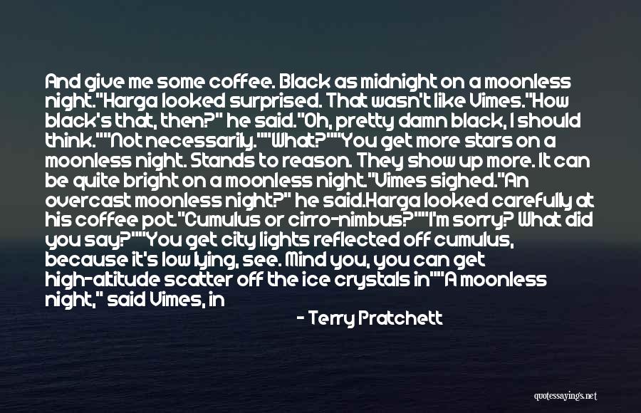 City Night Lights Quotes By Terry Pratchett