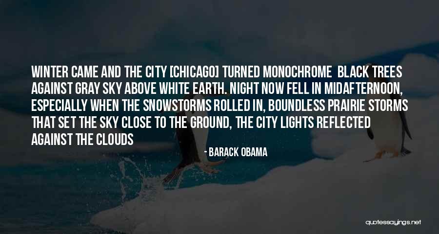 City Night Sky Quotes By Barack Obama