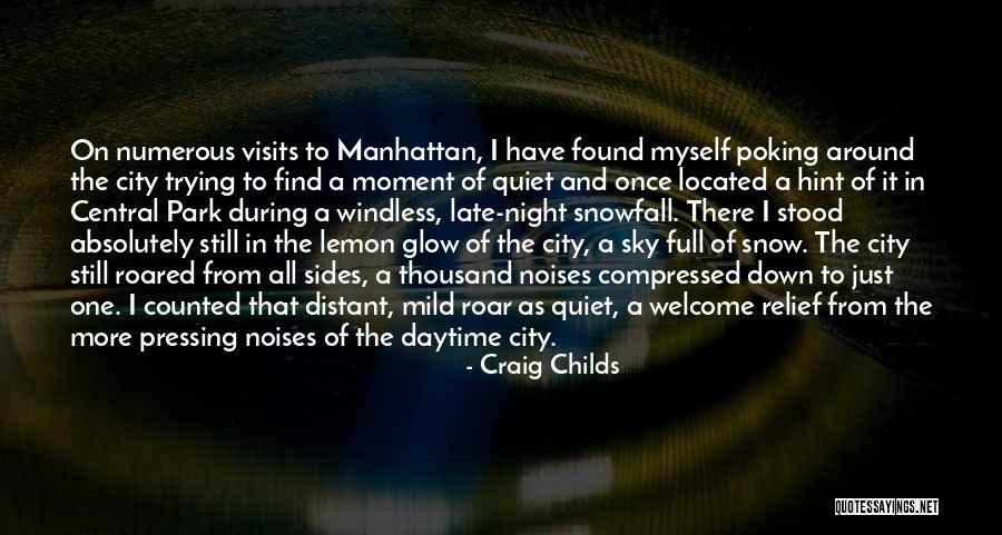 City Night Sky Quotes By Craig Childs