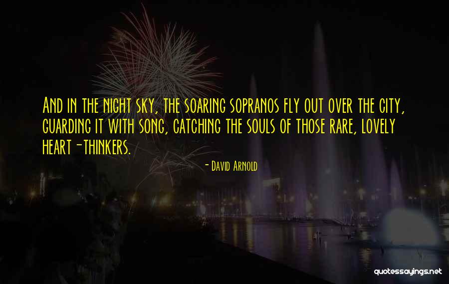 City Night Sky Quotes By David Arnold