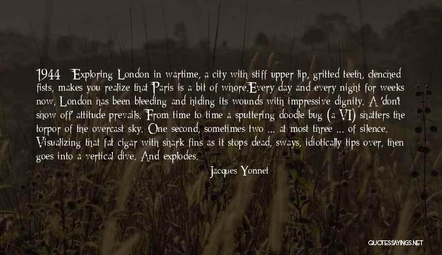 City Night Sky Quotes By Jacques Yonnet