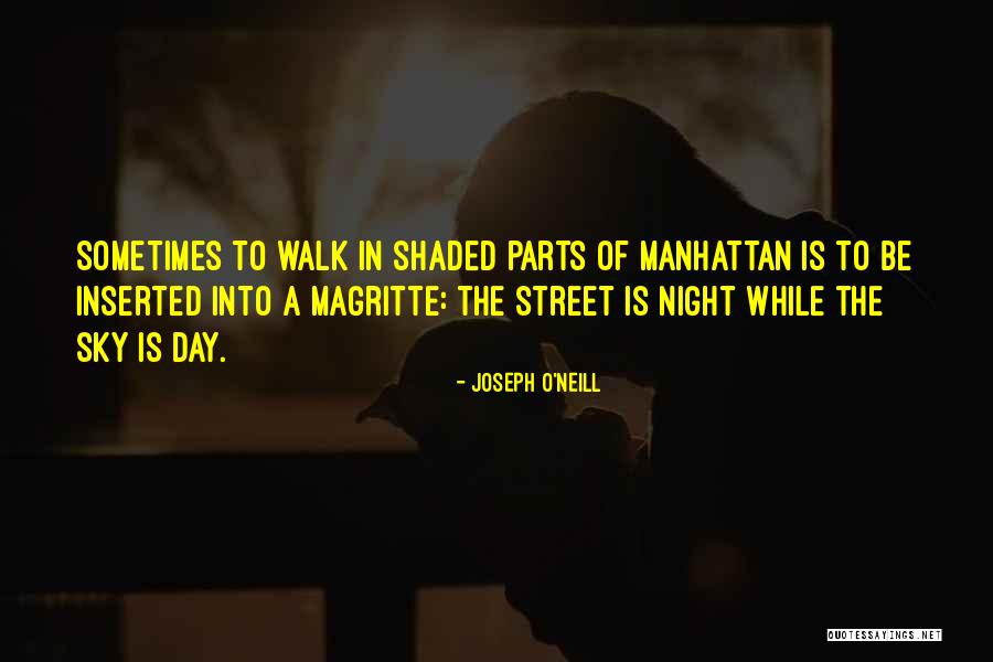 City Night Sky Quotes By Joseph O'Neill