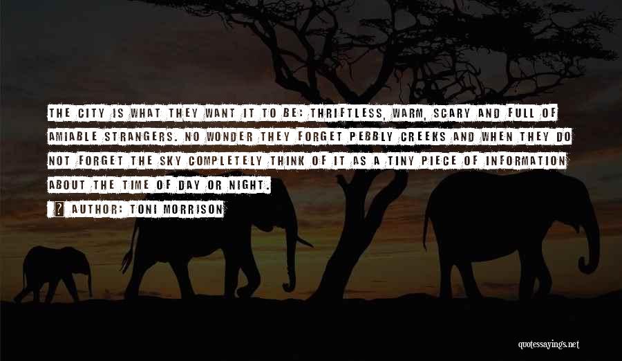City Night Sky Quotes By Toni Morrison