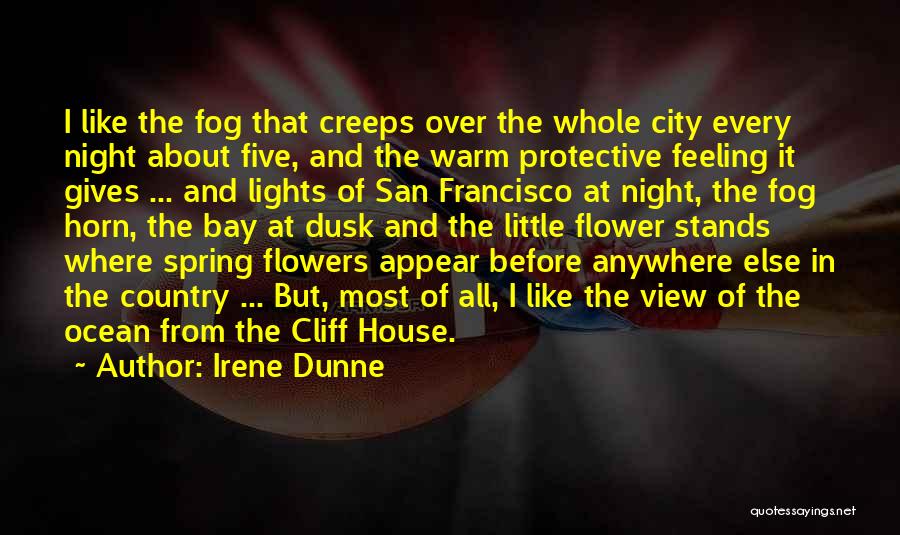 City Night View Quotes By Irene Dunne