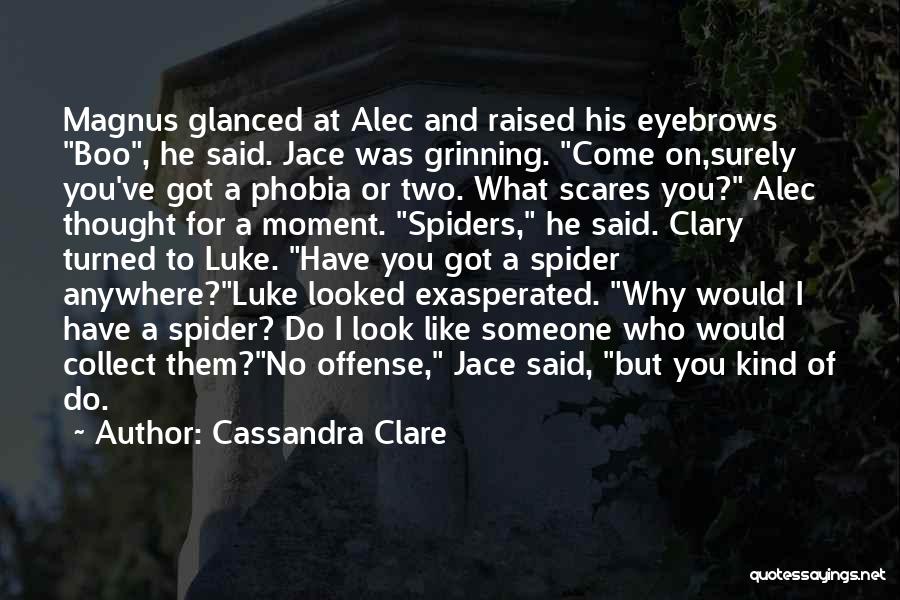 City Of Ashes Magnus Quotes By Cassandra Clare