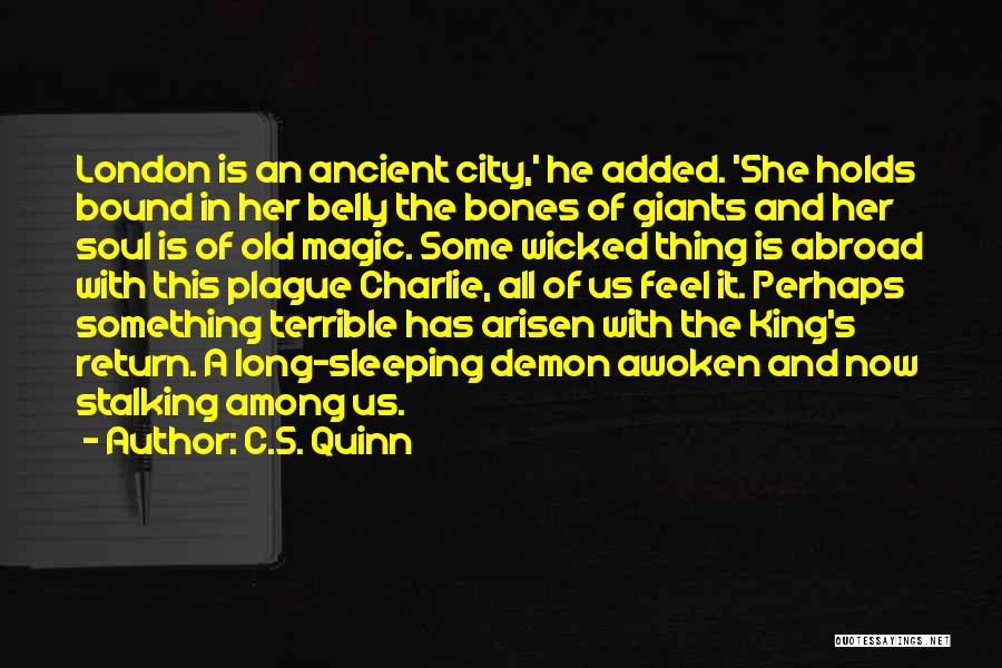 City Of Bones Quotes By C.S. Quinn