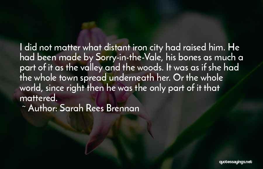 City Of Bones Quotes By Sarah Rees Brennan