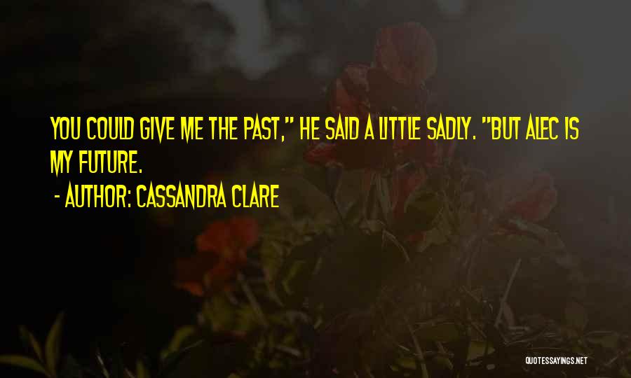 City Of Fallen Angels Alec Quotes By Cassandra Clare