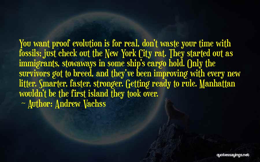 City Rats Quotes By Andrew Vachss