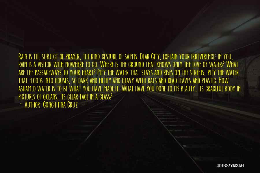 City Rats Quotes By Conchitina Cruz