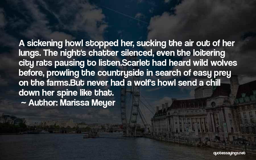 City Rats Quotes By Marissa Meyer