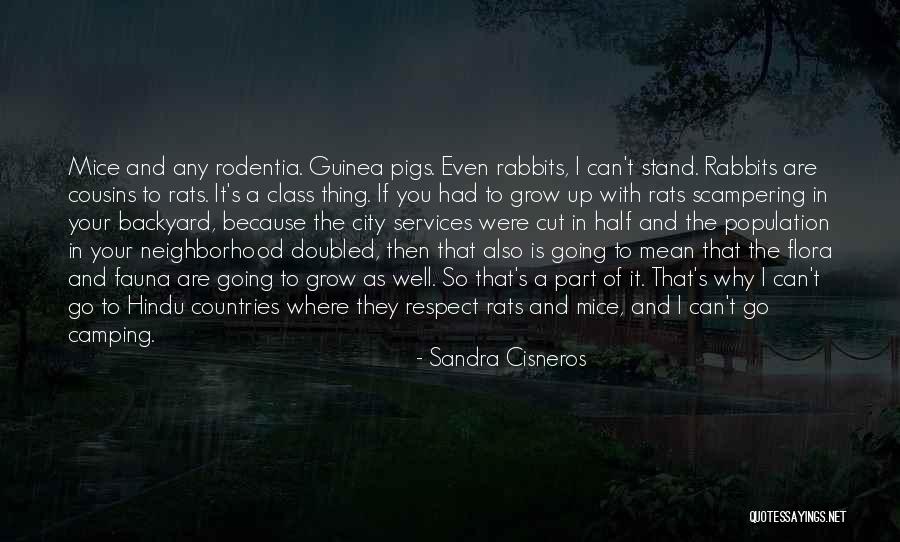 City Rats Quotes By Sandra Cisneros