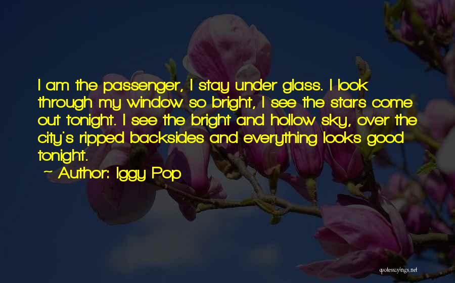 City Travel Quotes By Iggy Pop