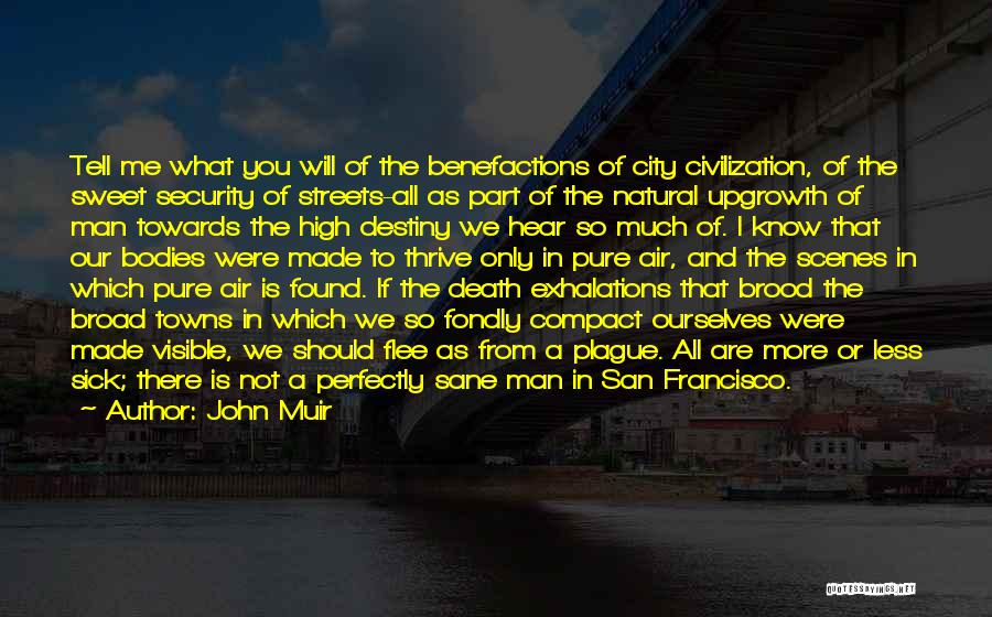 City Travel Quotes By John Muir