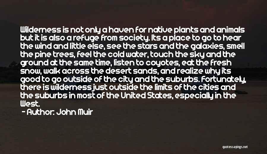 City Walk Quotes By John Muir