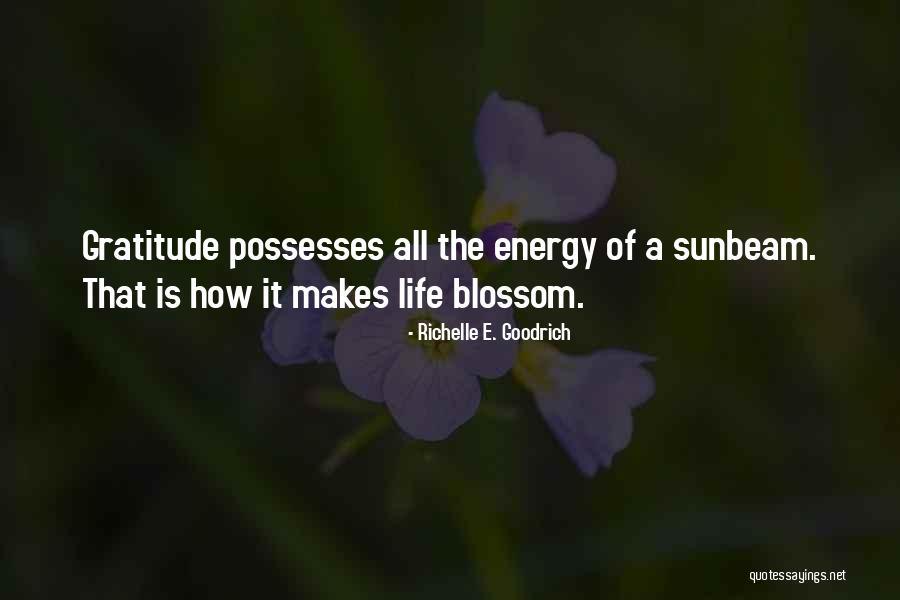 Ciubotaru Gheorghe Quotes By Richelle E. Goodrich Ciubotaru Gheorghe Quotes By Richelle E. Goodrich