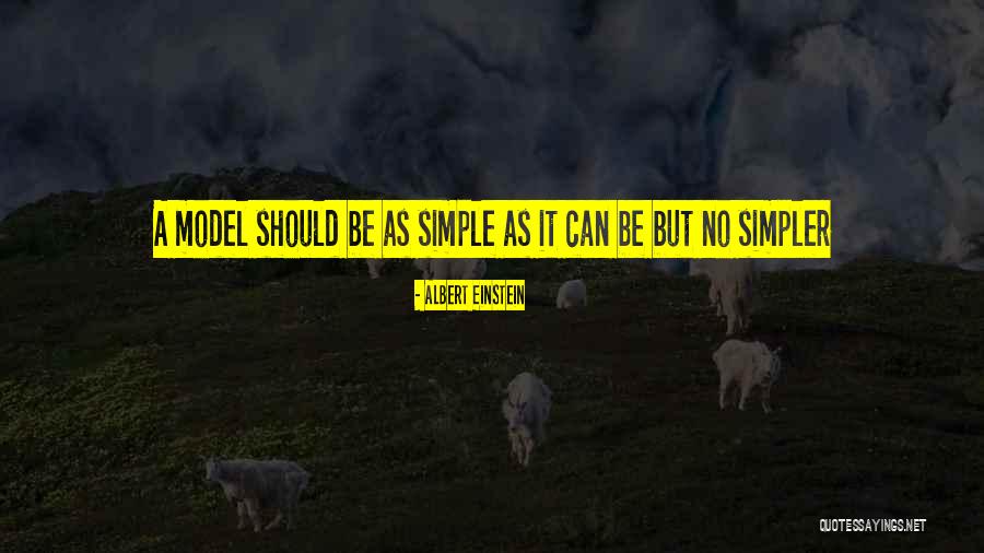 Ciucciamore Quotes By Albert Einstein Ciucciamore Quotes By Albert Einstein