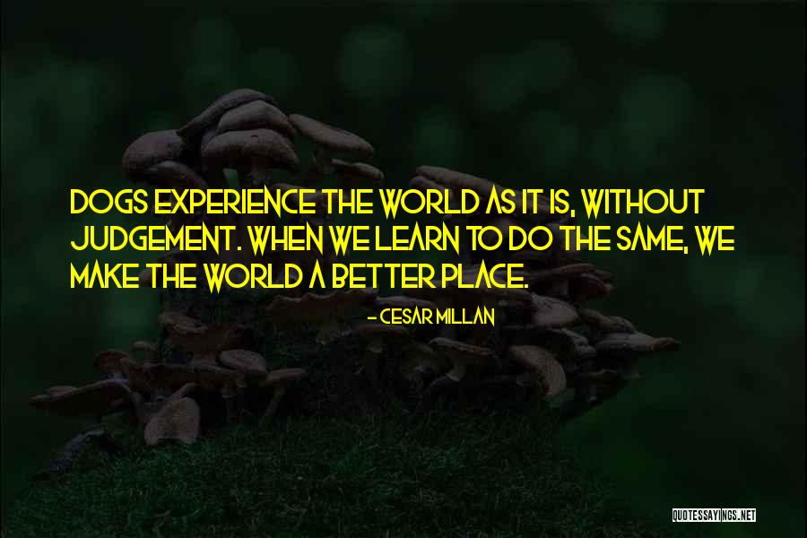 Ciupaska Quotes By Cesar Millan Ciupaska Quotes By Cesar Millan