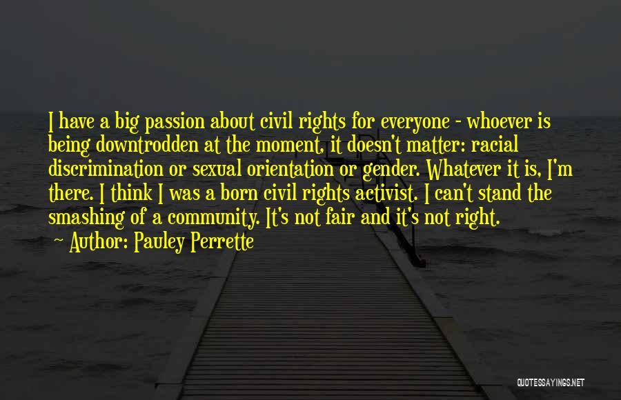 Civil Rights Activist Quotes By Pauley Perrette