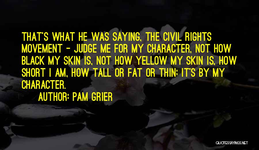 Civil Rights Movement Quotes By Pam Grier