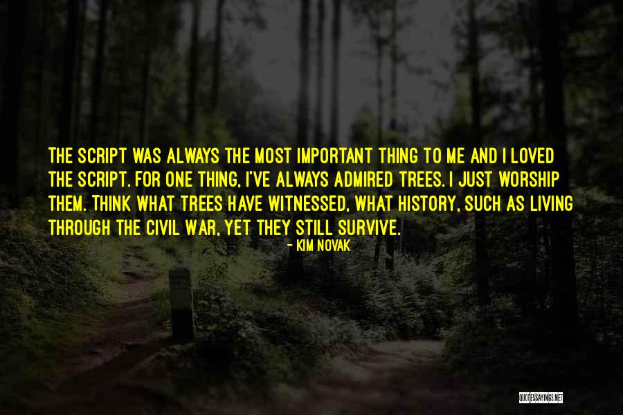 Civil War History Quotes By Kim Novak Civil War History Quotes By Kim Novak